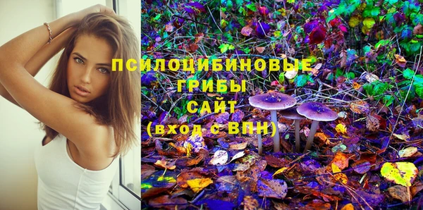 Альфа ПВП Баксан