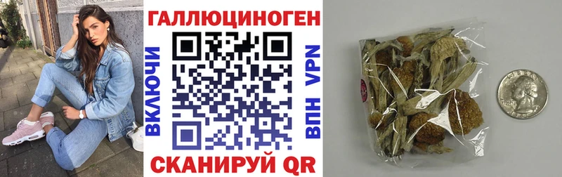Псилоцибиновые грибы Psilocybe  как найти закладки  Вихоревка 